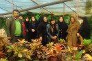 بازدید کارآموزان مرکز بهشهر از مجتمع گلخانه ای