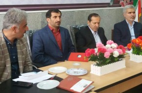 تشکیل کمیته مهارت و کارآفرینی در استان